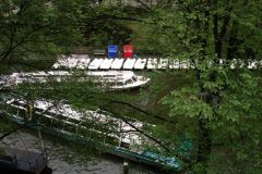 AMS1