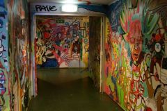 AMST1