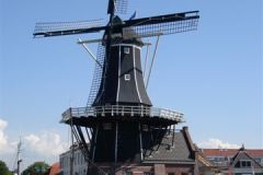 HAARLEM12