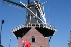 HAARLEM6