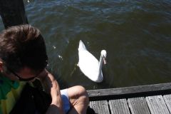HAARLEM7