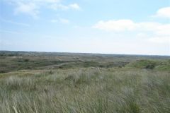 VANVOORTDEENSEE3