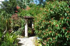 2006backyard1.jpg
