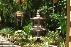 2006backyard6.jpg