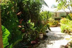 2006backyard7.jpg