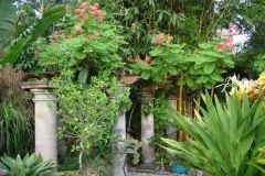 DSC00842