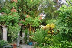 DSC00860