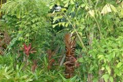DSC02595