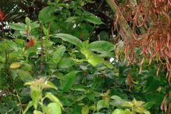 DSC03776