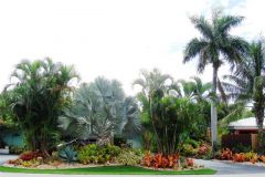 Frontyard-June-17-2007