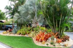 Frontyard-June-17