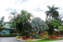 Frontyard