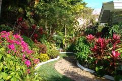 Front-yard-2