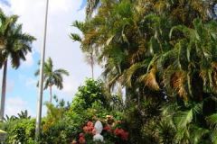 View-from-street-3